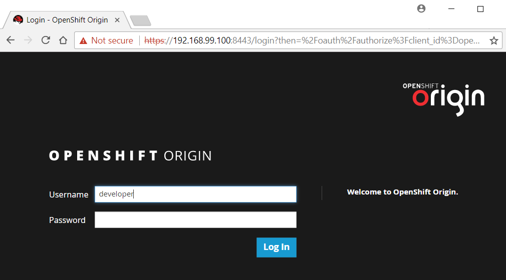 Log in to Minishift Web Console