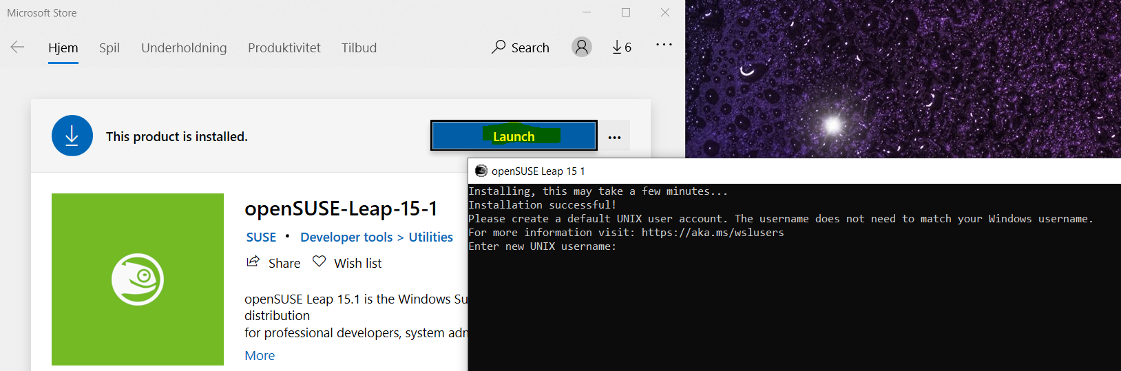 Installing WSL2 distro